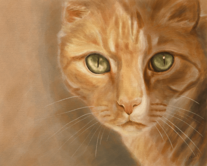 dramatic orange tabby portrait