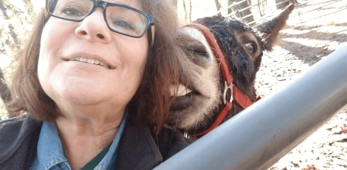 Donkeys love Reiki too! This is Donkey Oti