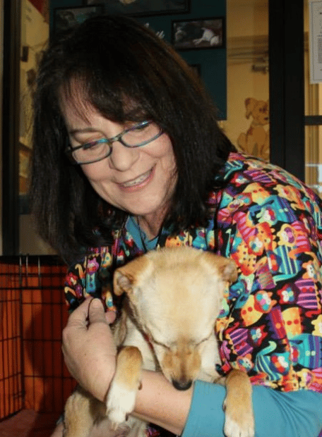 Me when I worked on staff at the animal shelter