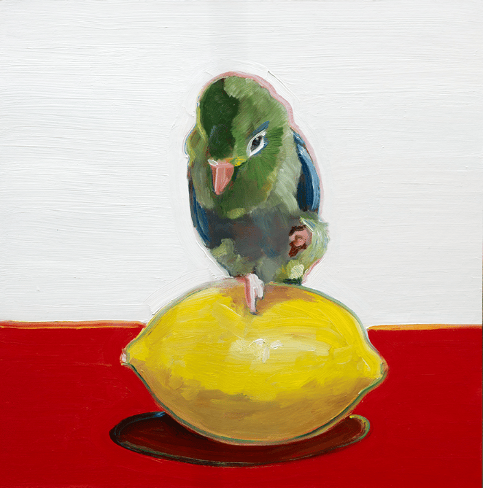 Parrotlet On Lemon