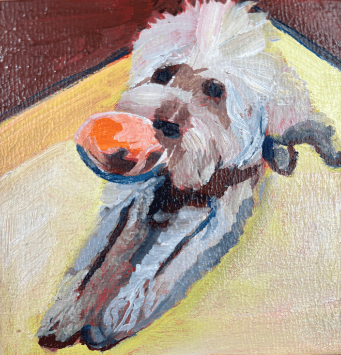 Dog with Toy