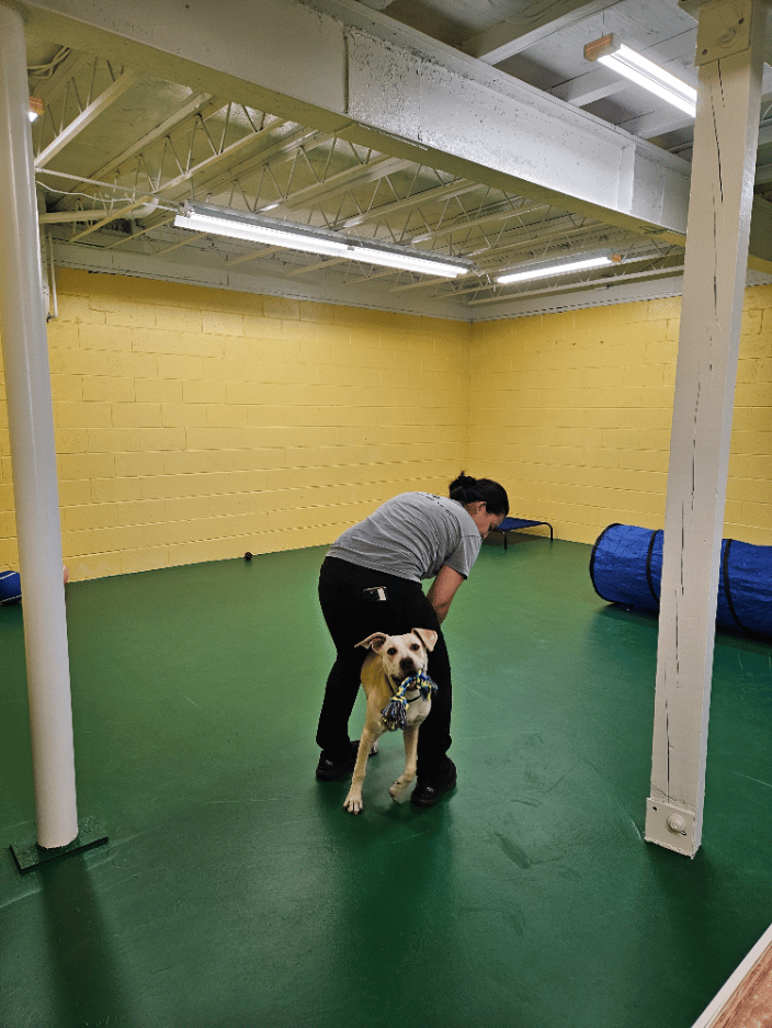 Rea and our evaluator Jasmine (owner of Wags and Whiskers)