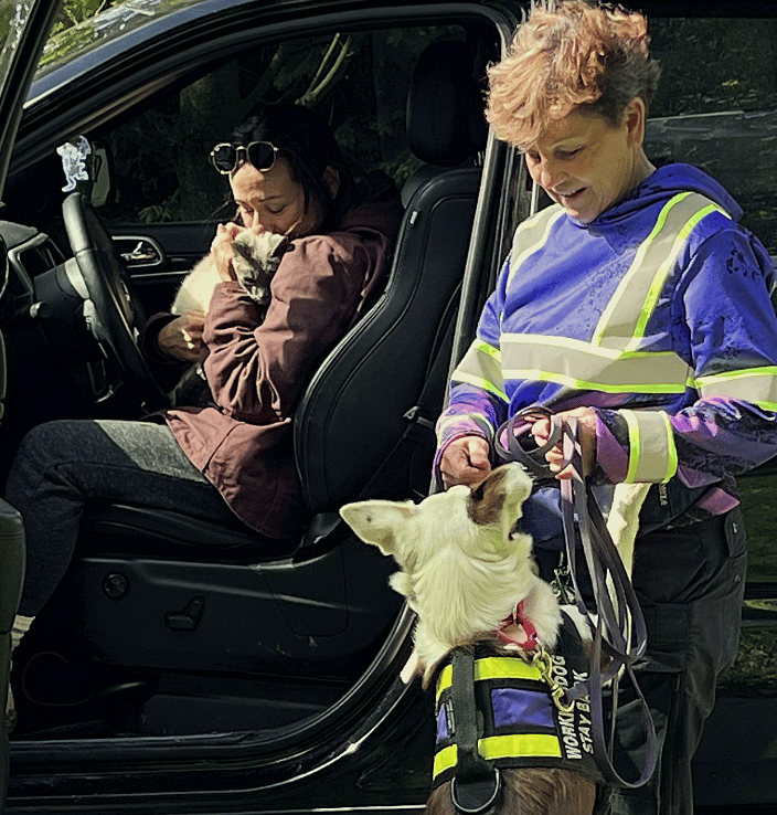 K9 Pink finds 16-year-old missing cat, Quinn.