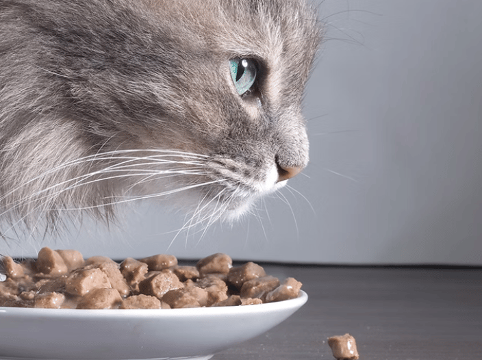 pet nutritionist Sherman Oaks, CA