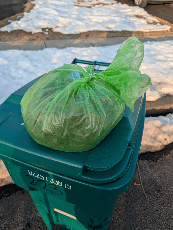 Biodegradable Bag Service