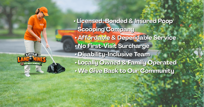 Web cover