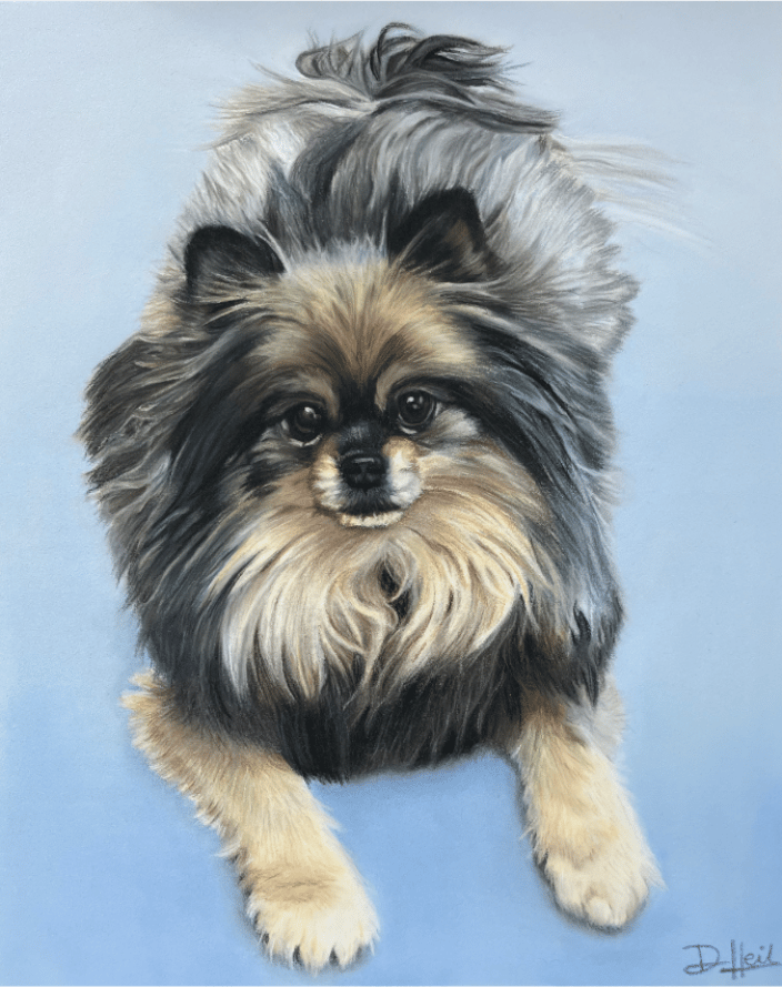 Pastel Portrait of Maro, Pomeranian