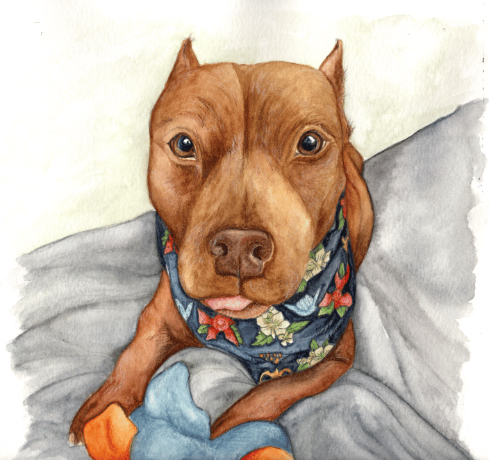 small brown dog