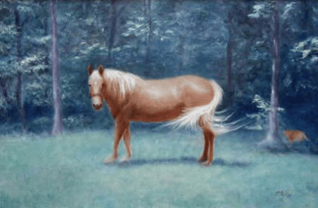 horse in a field