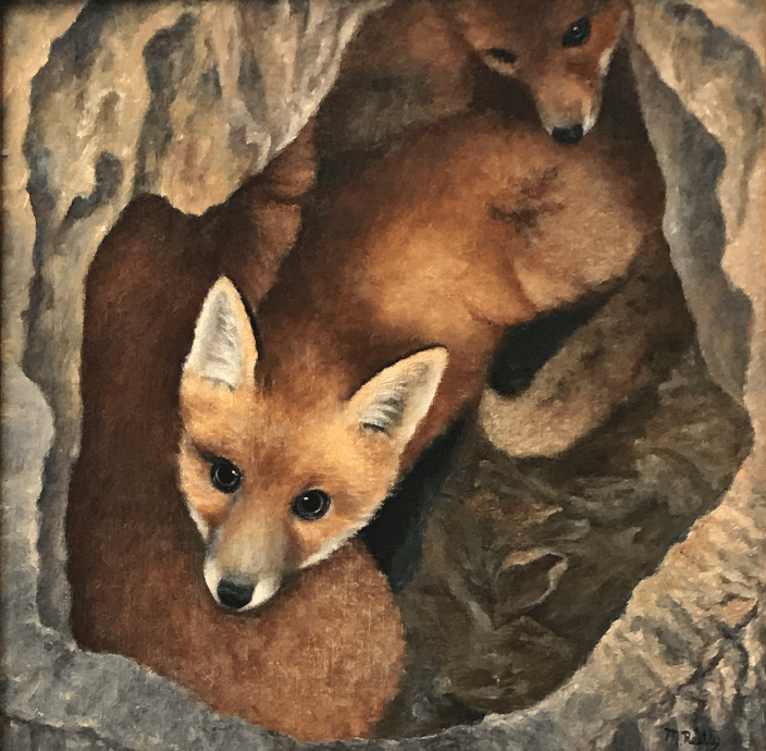 foxes in a den