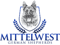 Logo of Mittelwest German Shepherds