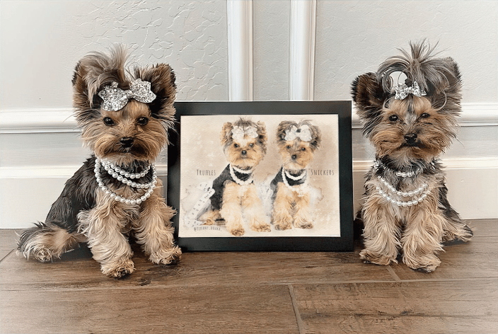 custom pet portrait 
