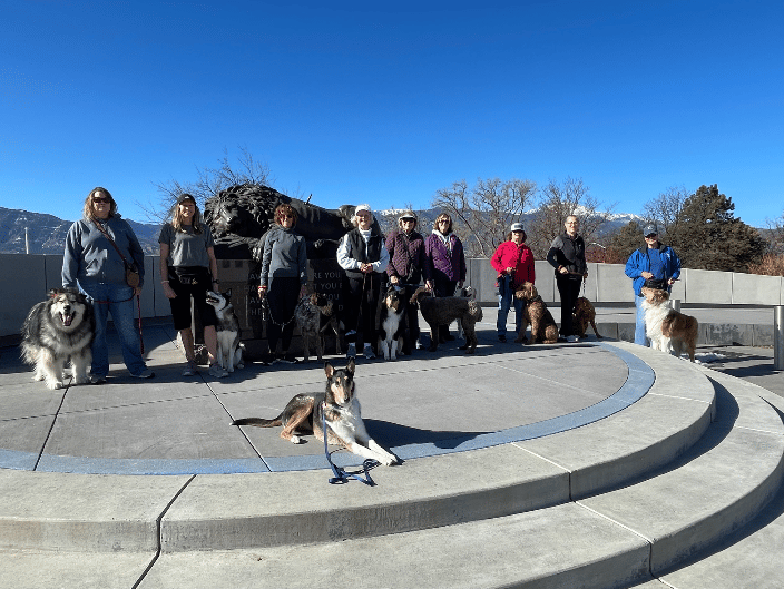 Group Dog Training Class 