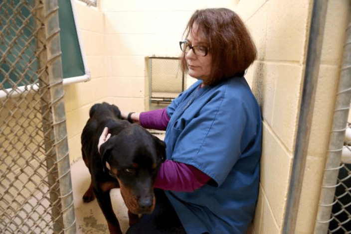 Michelle offering Reiki in the animal shelter.