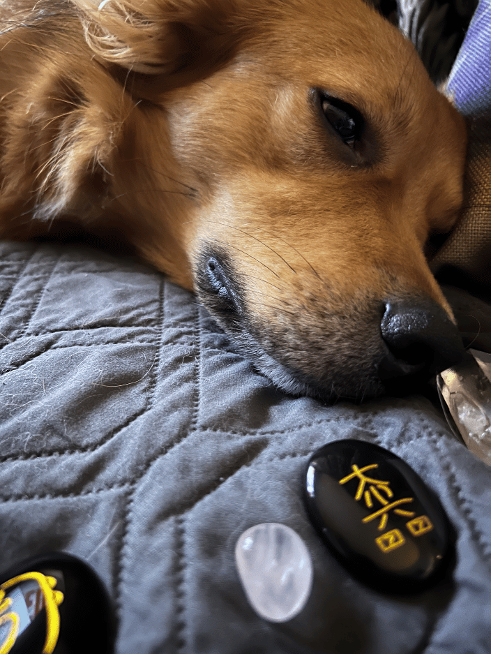 Tater the Texas Heeler enjoys an evening session to help calm his busy mind (he also likes to sniff the crystals)