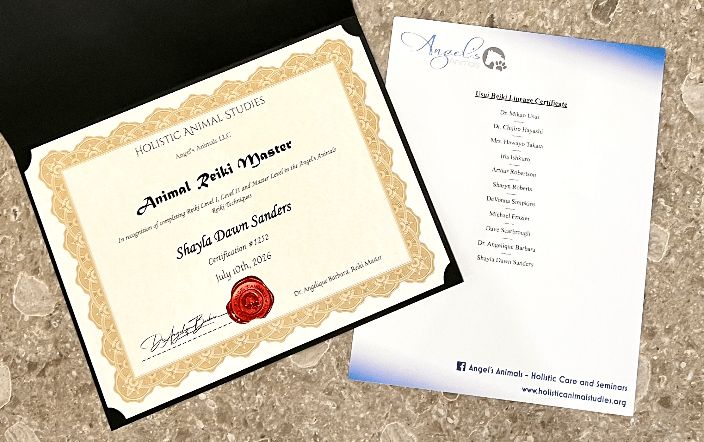 Holistic Animal Studies, Angel's Animals Animal Reiki Master Certification