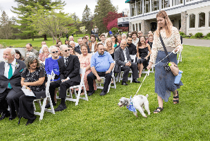 Wedding Pet Attendant Service 