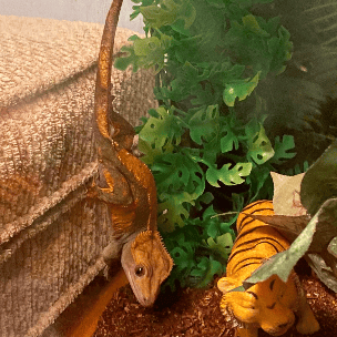 Reptile Sitting 