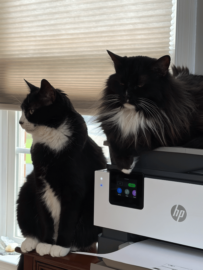 Zack and Zipper!