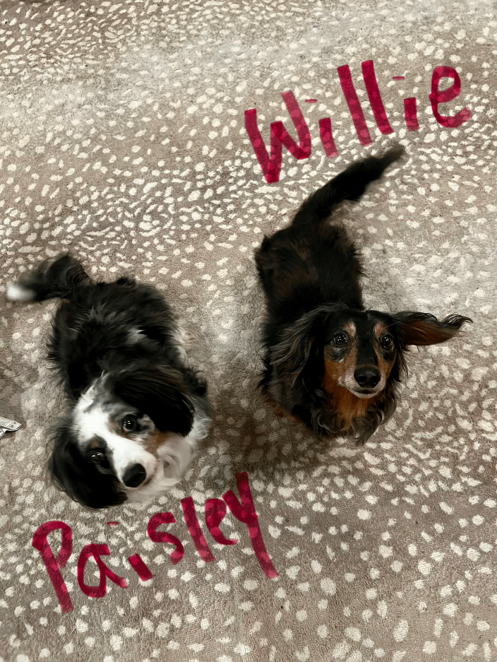 Willie and Paisley
