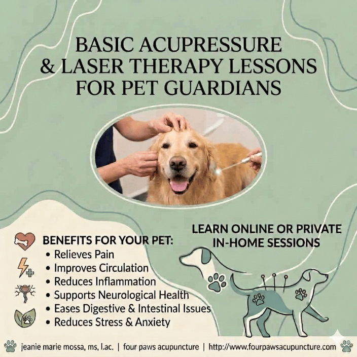 acupressure lessons