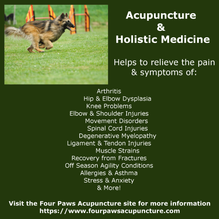 acupuncture treats