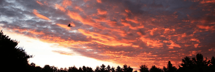 Greenwind Farm and Sanctuary