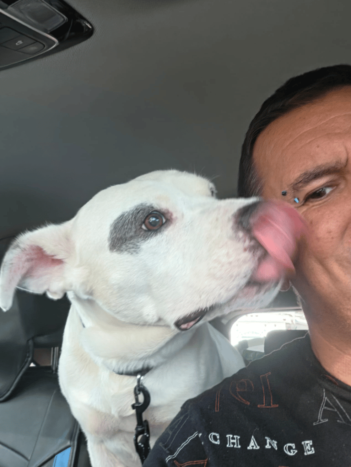 Biggie is traveling from Miami to the ranch.