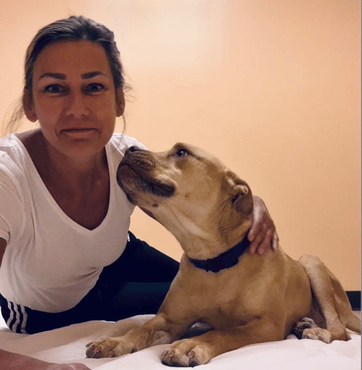 Animal Reiki client