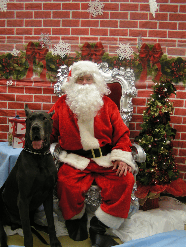 Pics with Santa , PHS & SPCA fundraiser