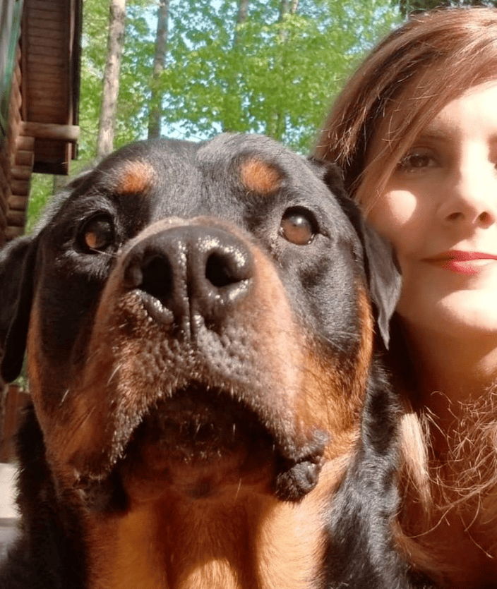 Canine Behavior Consultant - Behaviorist