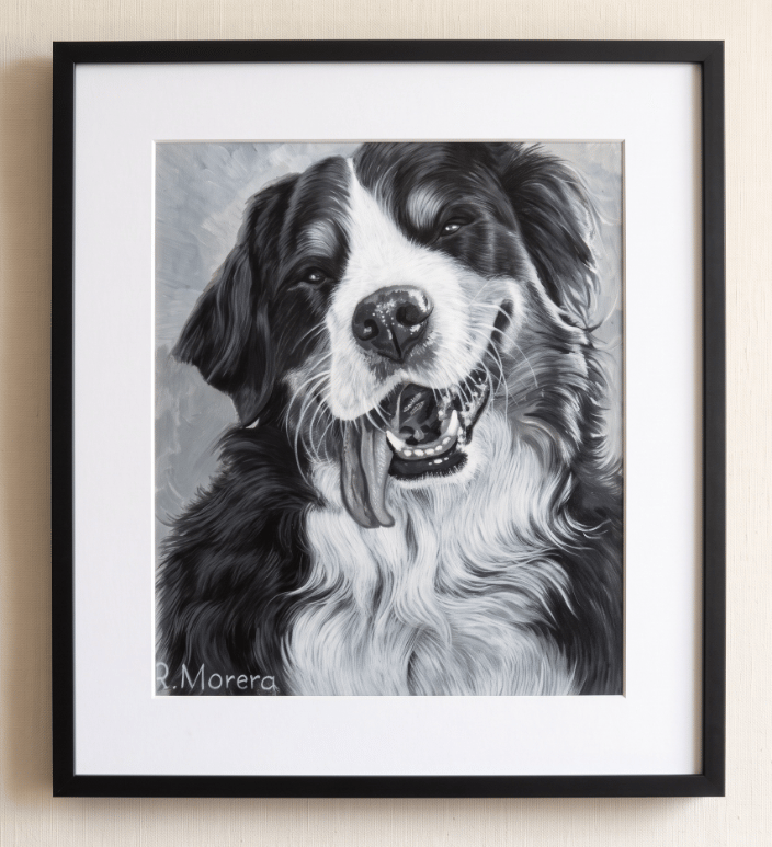 A hand-painted, black and white acrylic portrait of a happy Bernese Mountain Dog