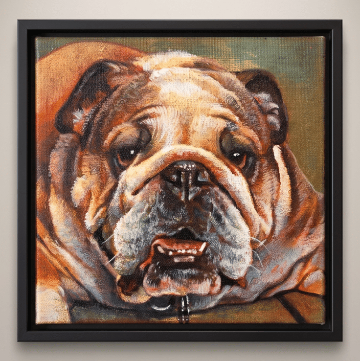 Portrait of an English Bulldog