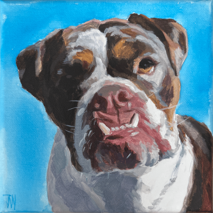 Dog