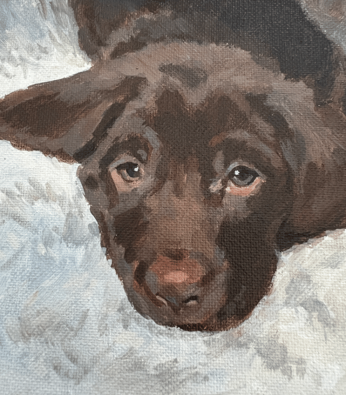 Dog