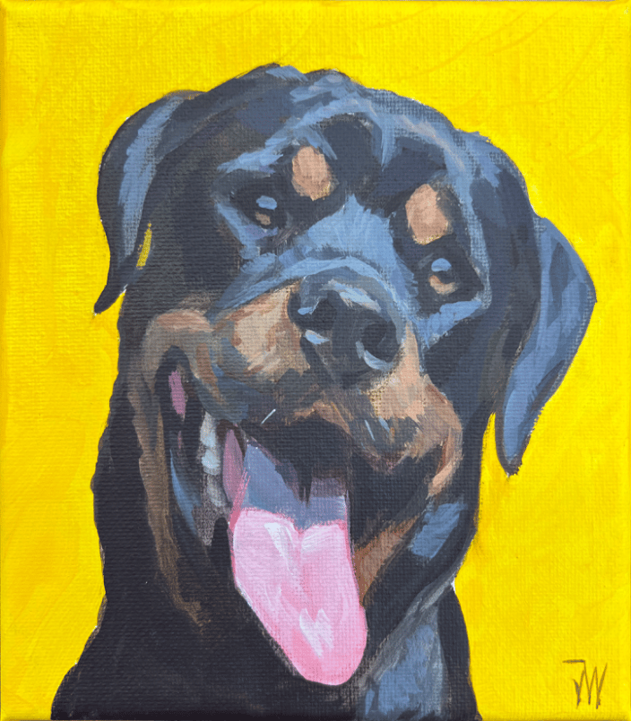 Dog