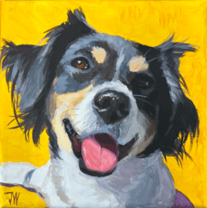 Dog