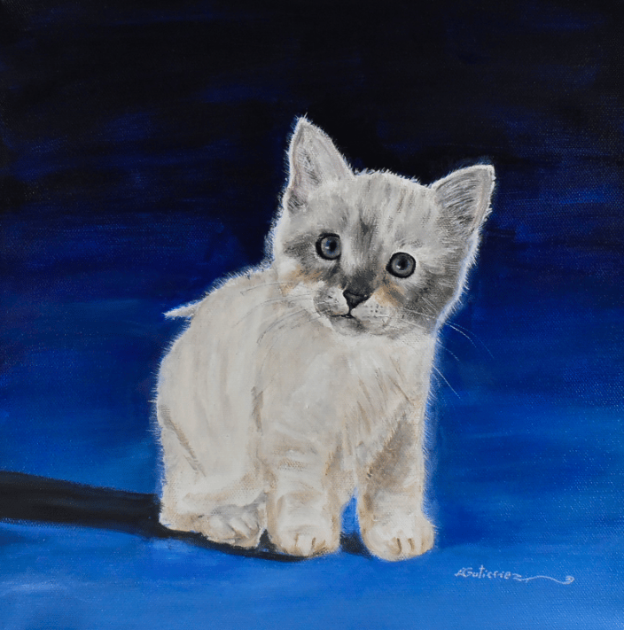 Kitten 