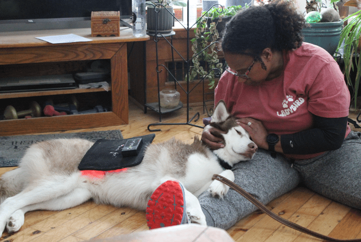 Canine session with bodywork and red light