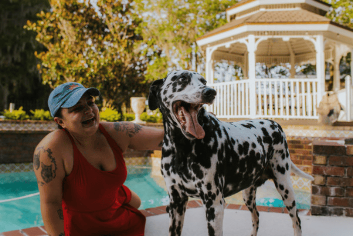 in home pet sitting Palm Harbor FL