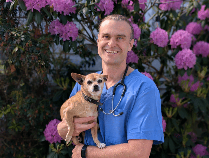 Dr. Ben holding his old chihuahua, Pip