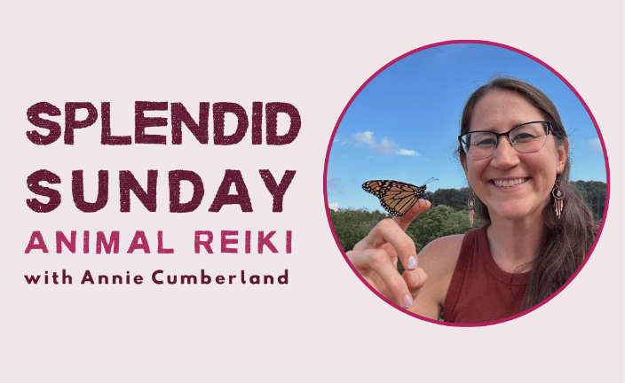 Spendid Sunday Animal Reiki with Annie Cumberland