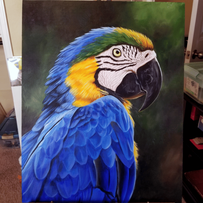 Macaw Parrot Portrait Painting