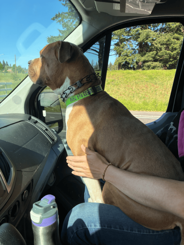 Doug riding shotgun and loving the view. 
