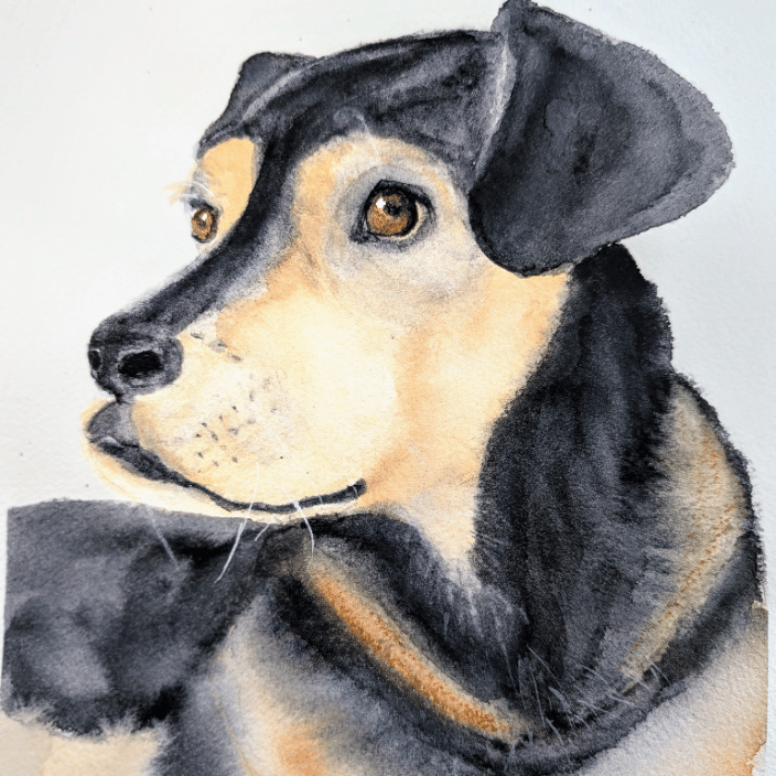Custom watercolor portrait of a sweet mixed breed rescue dog, hand-painted by Wren.