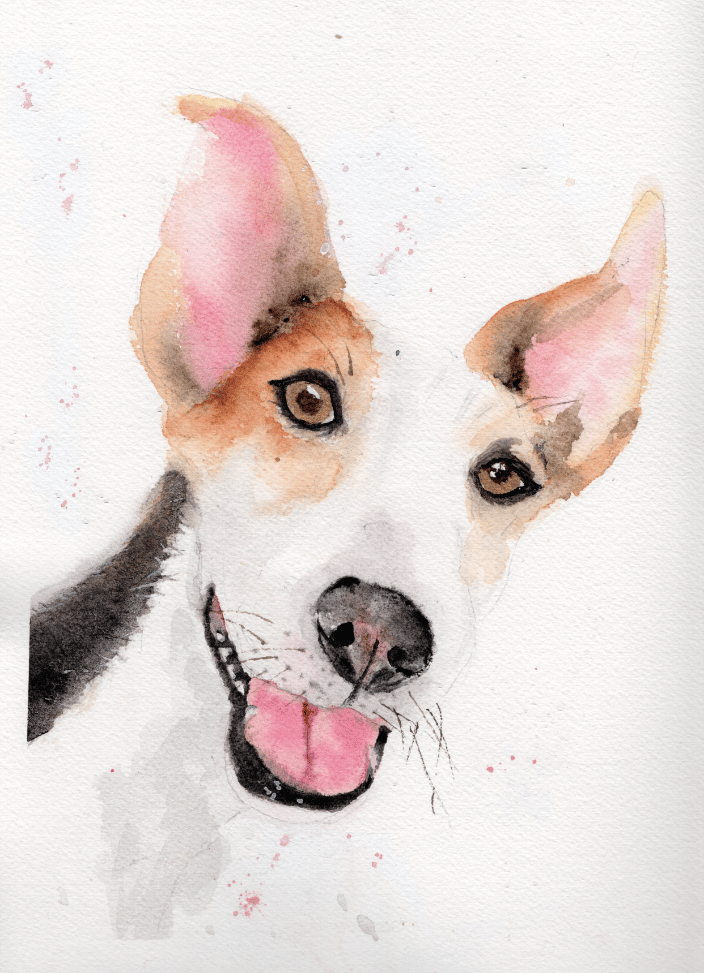 Hand-painted watercolor Jack Russell portrait capturing the joyful personality and happy smile of a sweet pup.