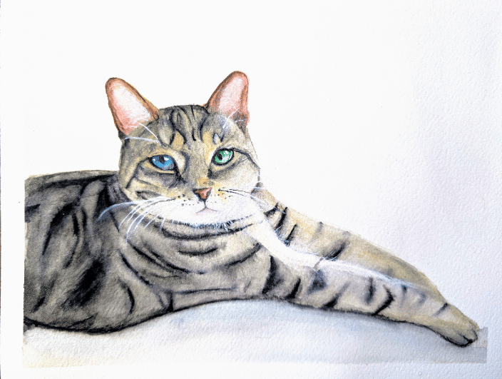 Original hand-painted watercolor pet portrait capturing the relaxed pose and gentle soul of a beloved tabby cat.