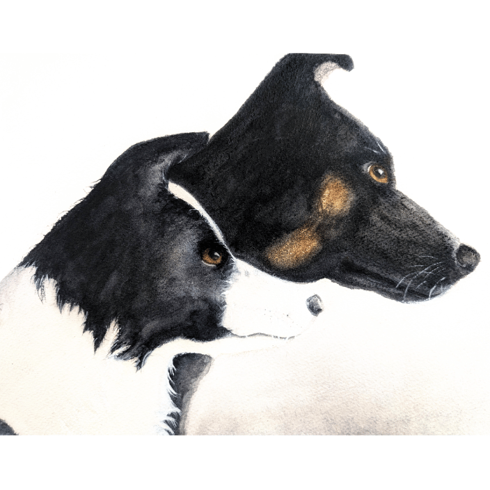 Hand-painted watercolor fine art portrait highlighting the stunning contrast, rich textures, and alert profiles of two beautiful dogs.