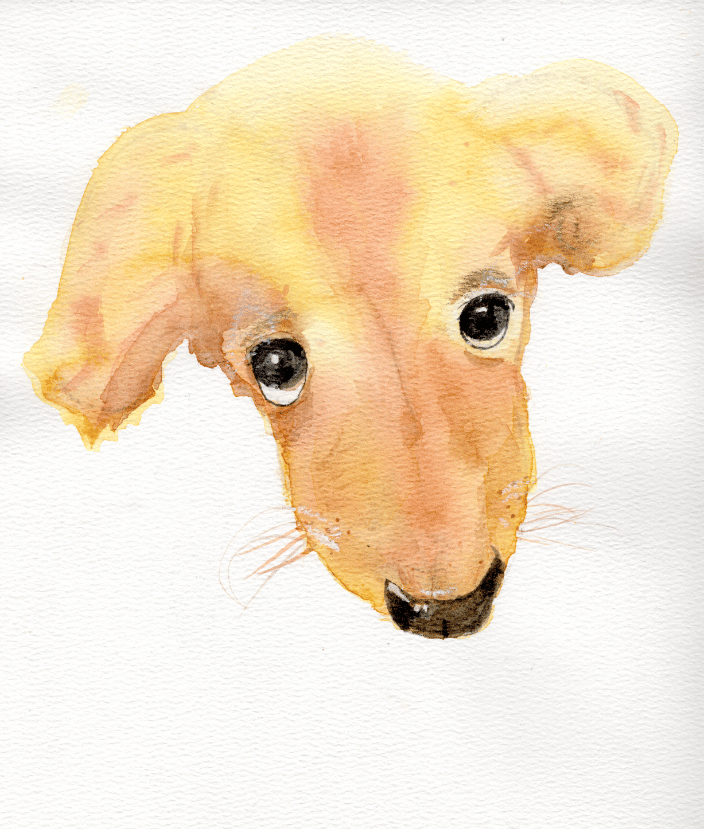 Hand-painted illustrative fine art portrait capturing the pure, gentle innocence of a beloved canine companion.