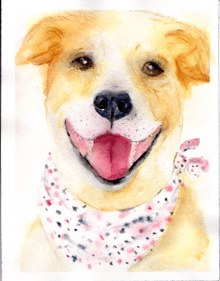 • Custom watercolor pet portrait by Wren, capturing the joyful smile and bright personality of a happy pup in their favorite bandana.